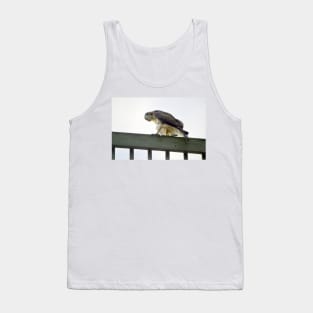 Red Tail Hawk Glare Tank Top